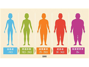 脂肪秤測量BMI重量